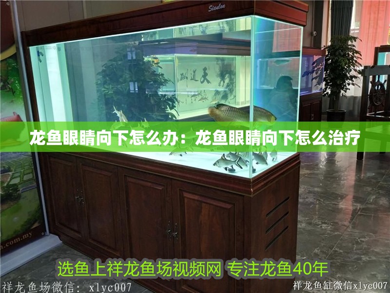 龍魚眼睛向下怎么辦:龍魚眼睛向下怎么治療 水族問答 龍魚眼睛向下怎么辦:龍魚眼睛向下怎么治療 龍魚眼睛向下怎么辦:龍魚眼睛向下怎么治療 水族問答