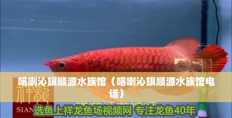 喀喇沁旗順源水族館（喀喇沁旗順源水族館電話）