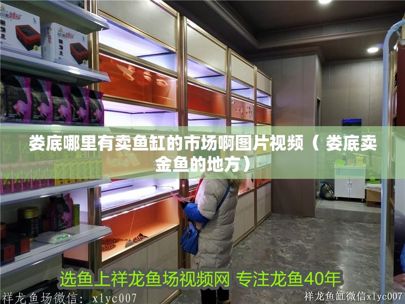 婁底哪里有賣魚缸的市場啊圖片視頻（ 婁底賣金魚的地方） 婁底哪里有賣魚缸的市場啊圖片視頻（ 婁底賣金魚的地方） 虎魚百科 第1張