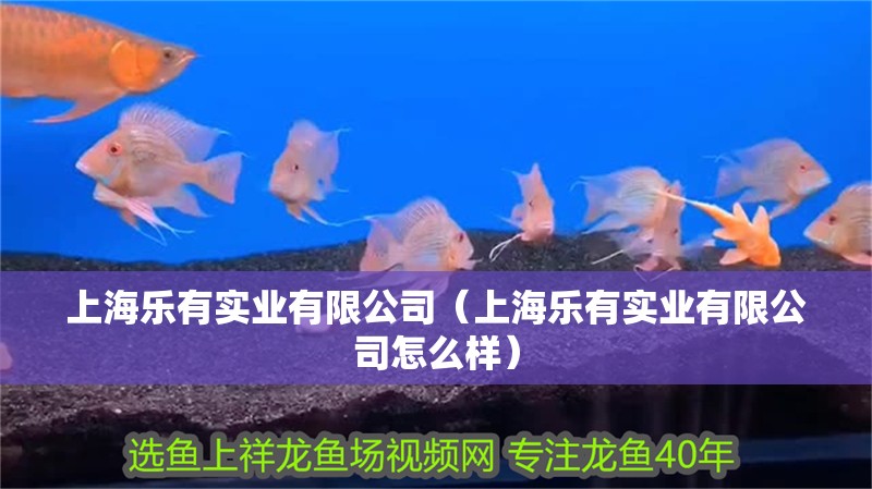 上海樂有實業有限公司（上海樂有實業有限公司怎么樣）