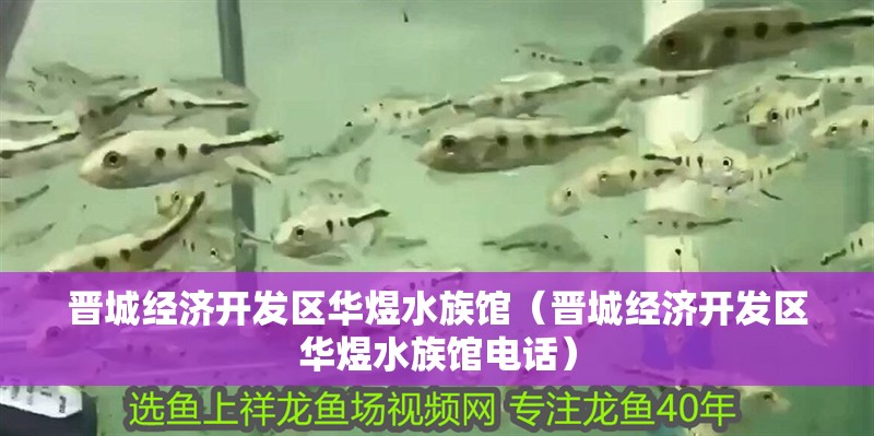 晉城經濟開發區華煜水族館（晉城經濟開發區華煜水族館電話）