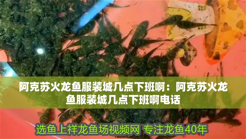 阿克蘇火龍魚服裝城幾點(diǎn)下班啊：阿克蘇火龍魚服裝城幾點(diǎn)下班啊電話 阿克蘇火龍魚服裝城幾點(diǎn)下班啊：阿克蘇火龍魚服裝城幾點(diǎn)下班啊電話 水族問答