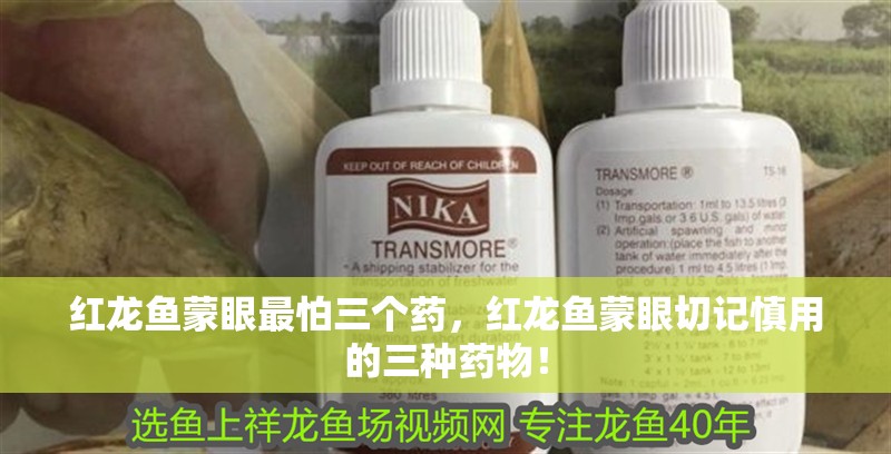 紅龍魚蒙眼最怕三個藥，紅龍魚蒙眼切記慎用的三種藥物！