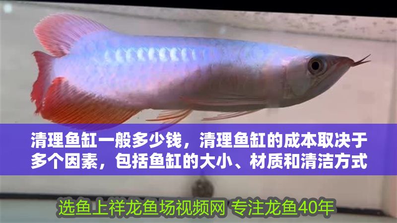 清理魚缸一般多少錢，清理魚缸的成本取決于多個因素，包括魚缸的大小、材質(zhì)和清潔方式