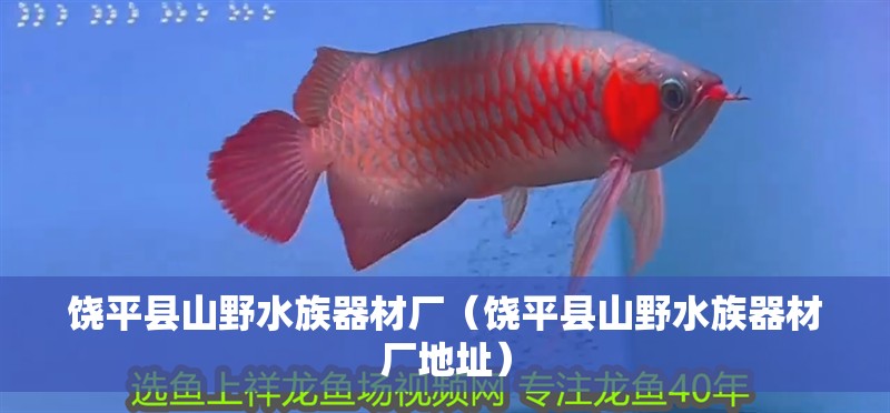 饒平縣山野水族器材廠（饒平縣山野水族器材廠地址）