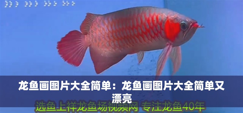 龍魚畫圖片大全簡(jiǎn)單：龍魚畫圖片大全簡(jiǎn)單又漂亮