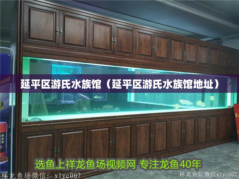 延平區(qū)游氏水族館（延平區(qū)游氏水族館地址）