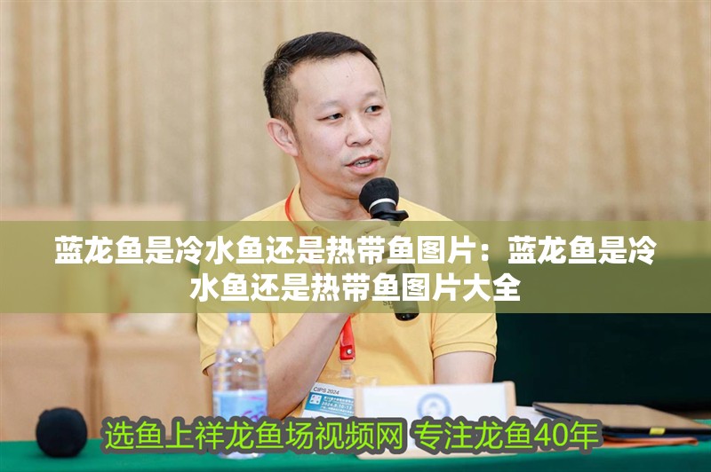 藍龍魚是冷水魚還是熱帶魚圖片：藍龍魚是冷水魚還是熱帶魚圖片大全