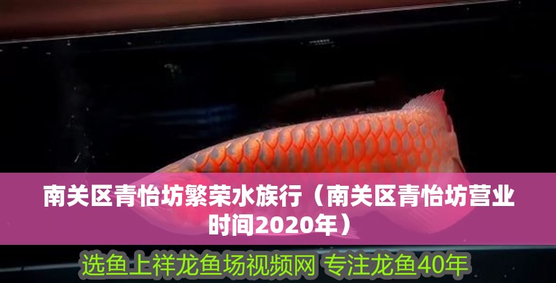 南關區青怡坊繁榮水族行（南關區青怡坊營業時間2020年）
