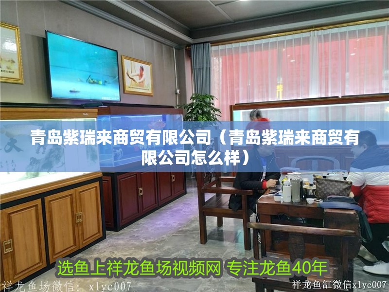 青島紫瑞來商貿有限公司（青島紫瑞來商貿有限公司怎么樣）