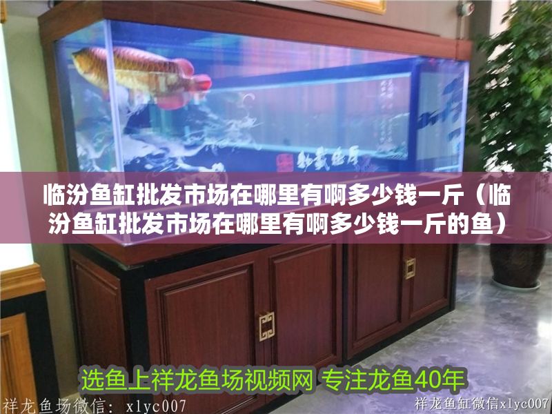 臨汾魚缸批發市場在哪里有啊多少錢一斤（臨汾魚缸批發市場在哪里有啊多少錢一斤的魚） 臨汾魚缸批發市場在哪里有啊多少錢一斤（臨汾魚缸批發市場在哪里有啊多少錢一斤的魚） 魟魚百科 第1張