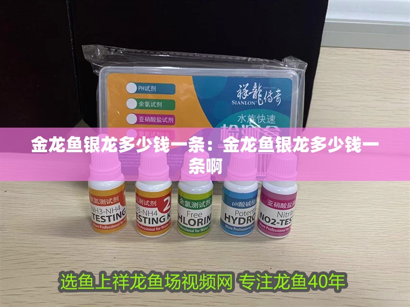 金龍魚銀龍多少錢一條：金龍魚銀龍多少錢一條啊