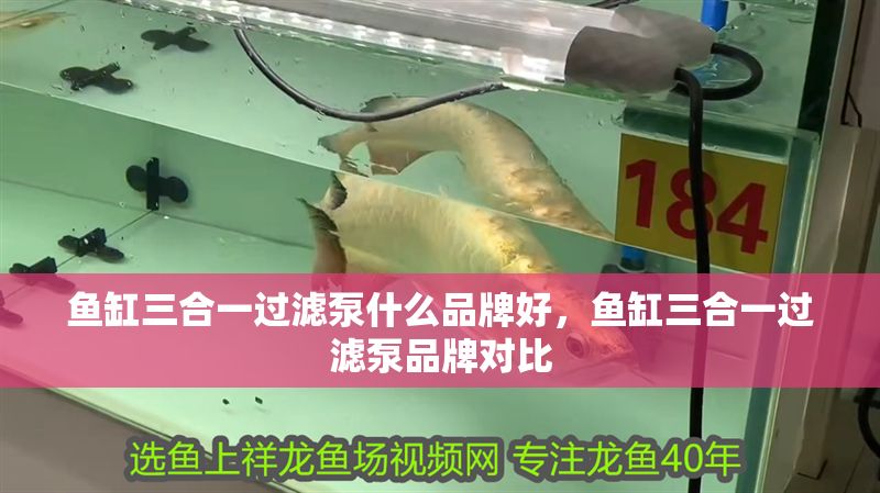 魚缸三合一過濾泵什么品牌好，魚缸三合一過濾泵品牌對比