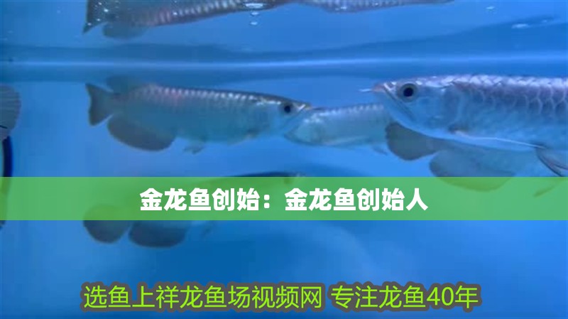金龍魚(yú)創(chuàng)始：金龍魚(yú)創(chuàng)始人