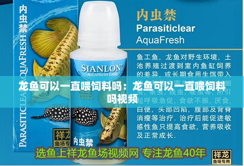 龍魚可以一直喂飼料嗎：龍魚可以一直喂飼料嗎視頻