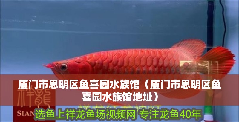 廈門市思明區(qū)魚喜園水族館（廈門市思明區(qū)魚喜園水族館地址）