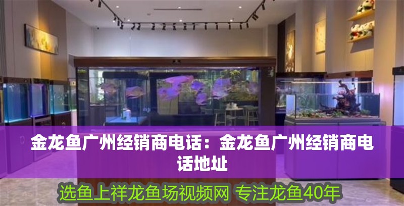 養(yǎng)豬鼻龜需要多大的魚(yú)缸呢視頻講解(養(yǎng)豬鼻龜?shù)母桌锓攀裁幢容^好)