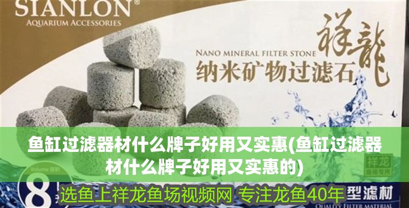 魚缸過濾器材什么牌子好用又實(shí)惠(魚缸過濾器材什么牌子好用又實(shí)惠的)