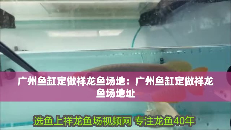 廣州魚缸定做祥龍魚場地：廣州魚缸定做祥龍魚場地址