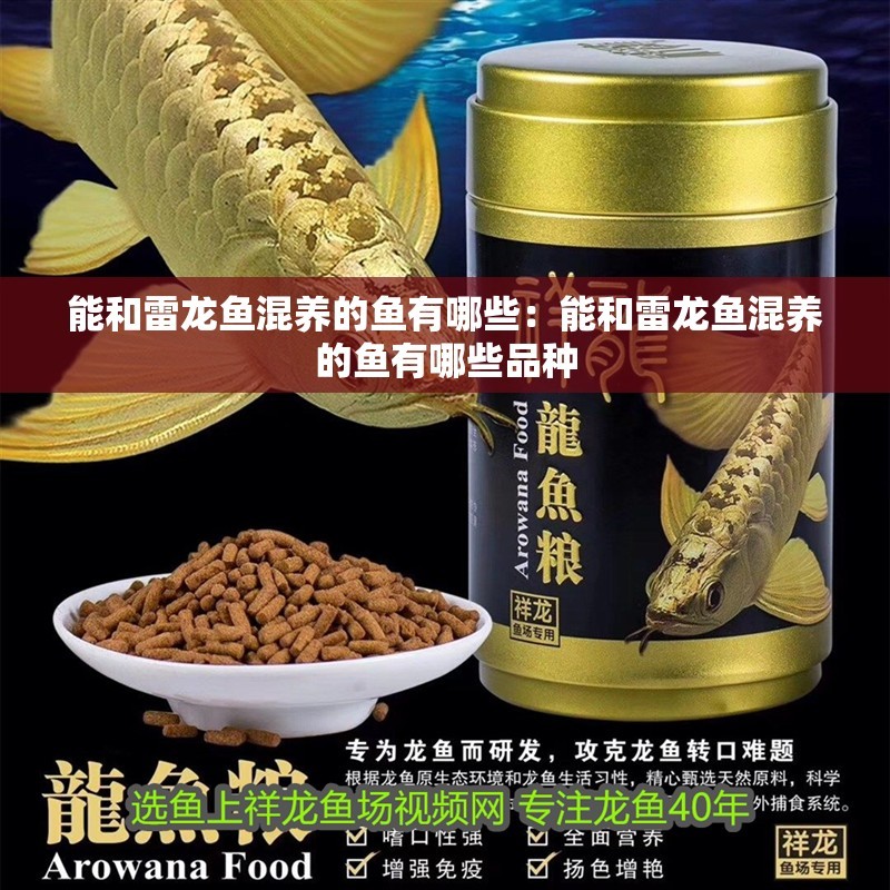 能和雷龍魚混養(yǎng)的魚有哪些：能和雷龍魚混養(yǎng)的魚有哪些品種