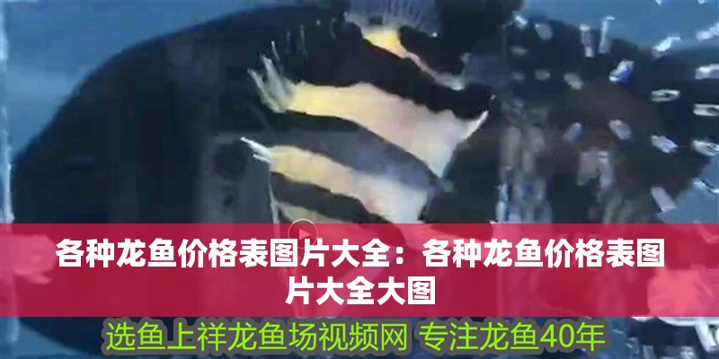 各種龍魚價格表圖片大全：各種龍魚價格表圖片大全大圖