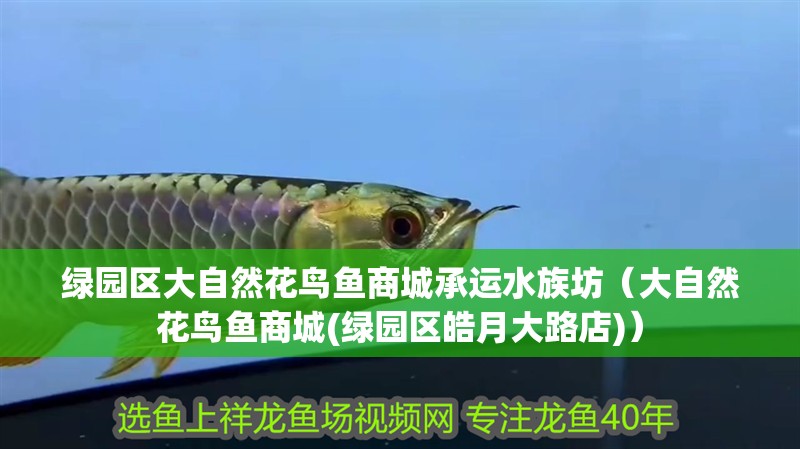 綠園區(qū)大自然花鳥魚商城承運(yùn)水族坊（大自然花鳥魚商城(綠園區(qū)皓月大路店)）