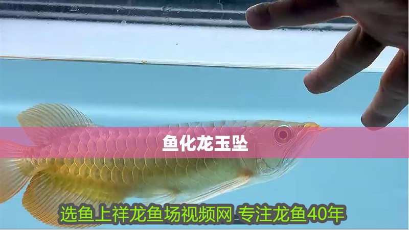 魚化龍玉墜