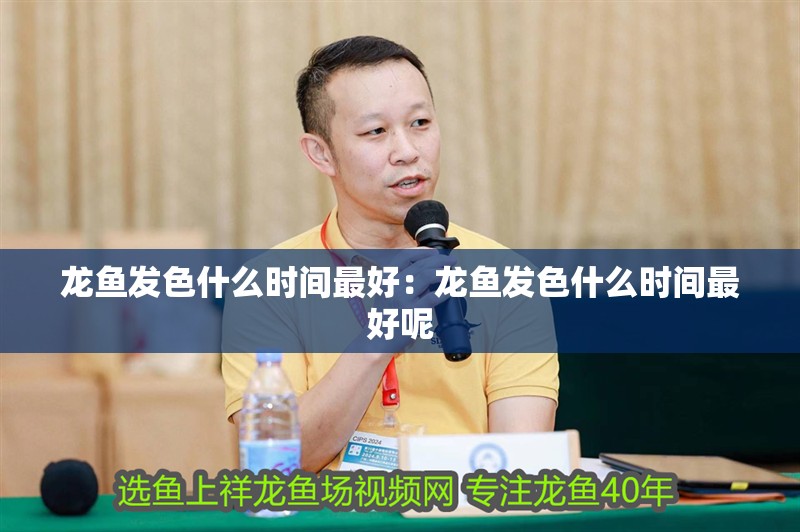 龍魚發色什么時間最好：龍魚發色什么時間最好呢 龍魚發色什么時間最好：龍魚發色什么時間最好呢 水族問答