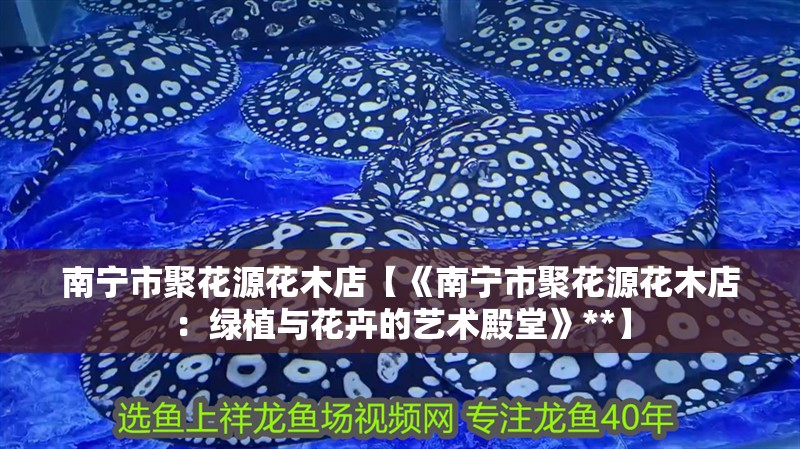 南寧市聚花源花木店【《南寧市聚花源花木店：綠植與花卉的藝術(shù)殿堂》**】