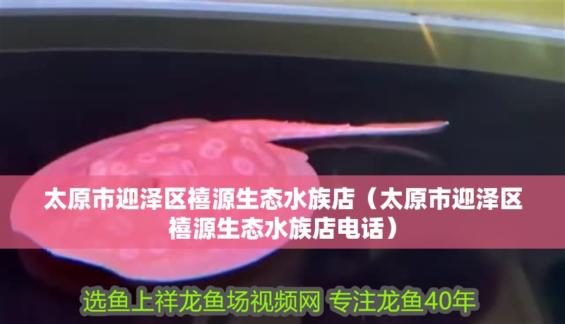 太原市迎澤區禧源生態水族店（太原市迎澤區禧源生態水族店電話）