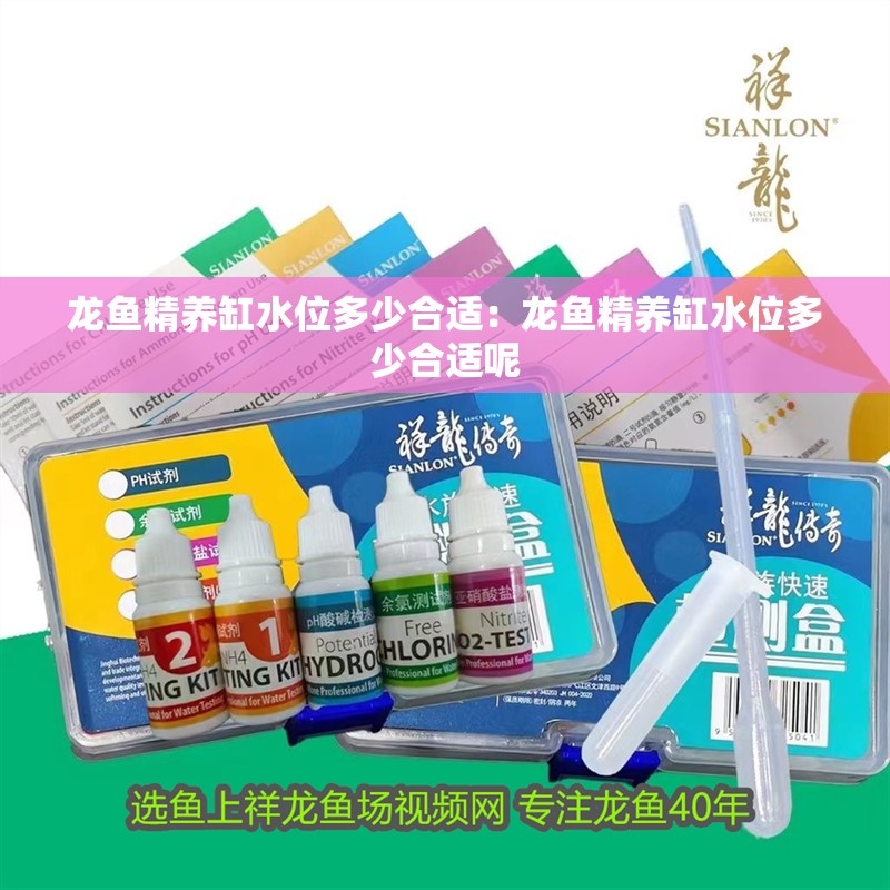 龍魚精養(yǎng)缸水位多少合適：龍魚精養(yǎng)缸水位多少合適呢