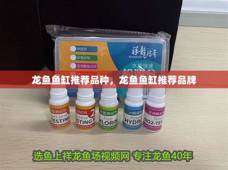 龍魚魚缸推薦品種，龍魚魚缸推薦品牌