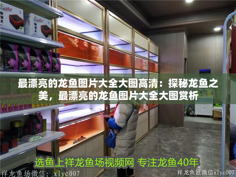 最漂亮的龍魚圖片大全大圖高清：探秘龍魚之美，最漂亮的龍魚圖片大全大圖賞析