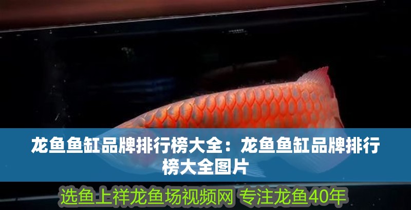 龍魚魚缸品牌排行榜大全：龍魚魚缸品牌排行榜大全圖片 龍魚魚缸品牌排行榜大全：龍魚魚缸品牌排行榜大全圖片 水族問答