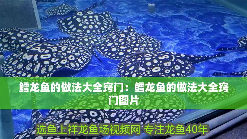 鱈龍魚的做法大全竅門：鱈龍魚的做法大全竅門圖片