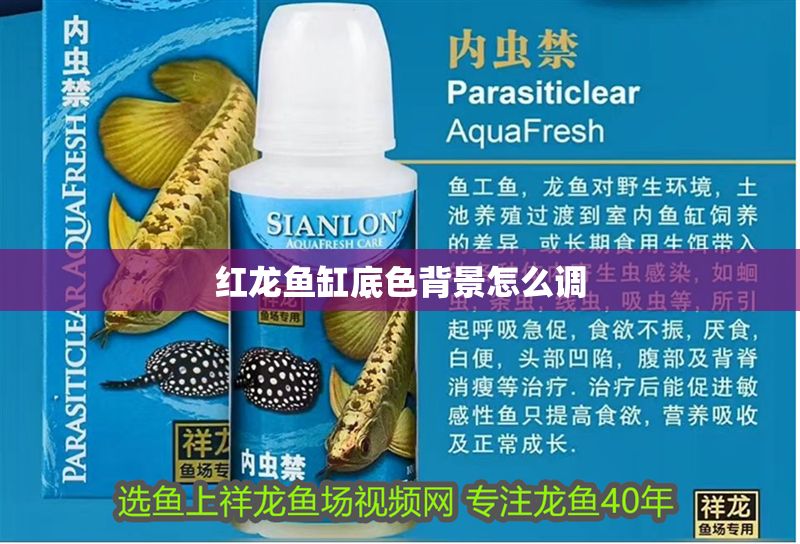 紅龍魚缸底色背景怎么調(diào) 紅龍魚缸底色背景怎么調(diào) 龍魚百科 第1張