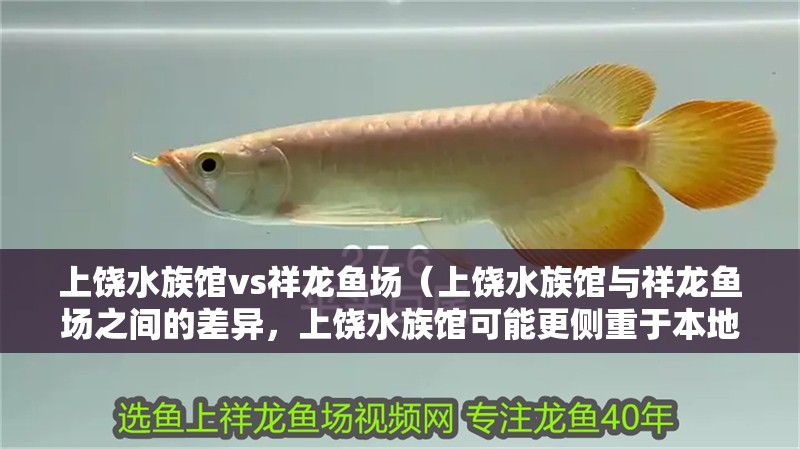 上饒水族館vs祥龍魚場（上饒水族館與祥龍魚場之間的差異，上饒水族館可能更側重于本地市場）