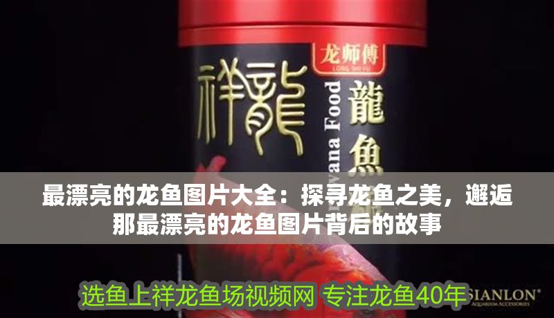 最漂亮的龍魚圖片大全：探尋龍魚之美，邂逅那最漂亮的龍魚圖片背后的故事