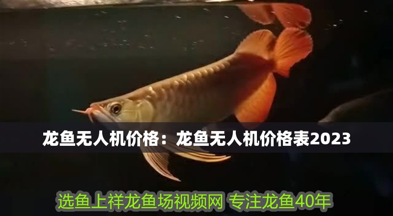 龍魚無人機價格：龍魚無人機價格表2023