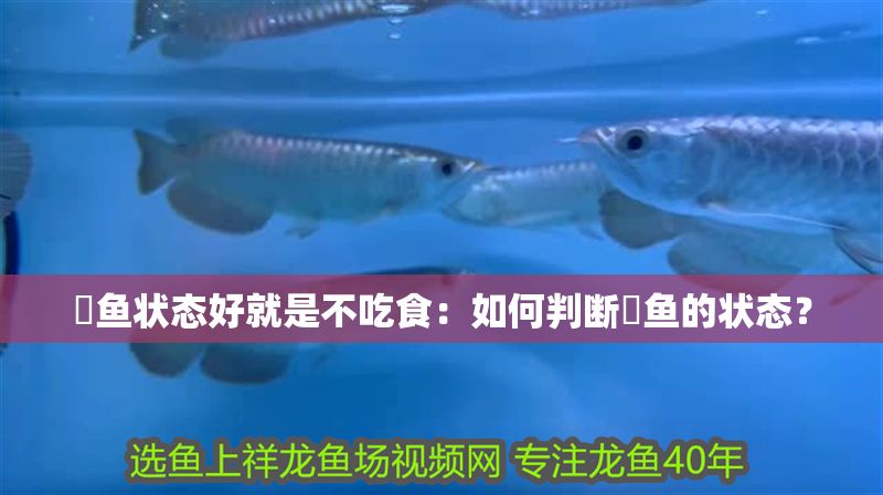 魟魚狀態好就是不吃食：如何判斷魟魚的狀態？ 魟魚狀態好就是不吃食：如何判斷魟魚的狀態？ 魟魚百科 第2張