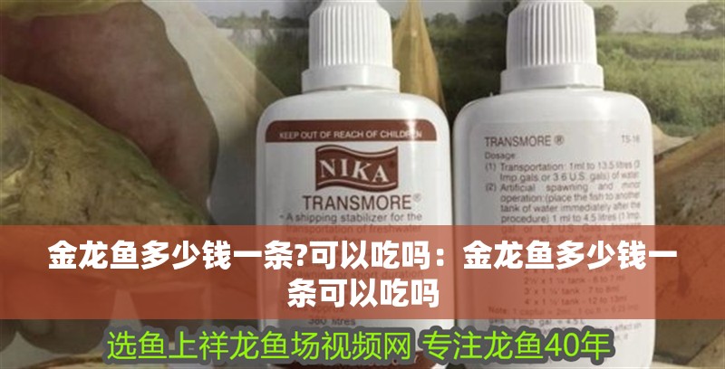 金龍魚多少錢一條?可以吃嗎：金龍魚多少錢一條可以吃嗎