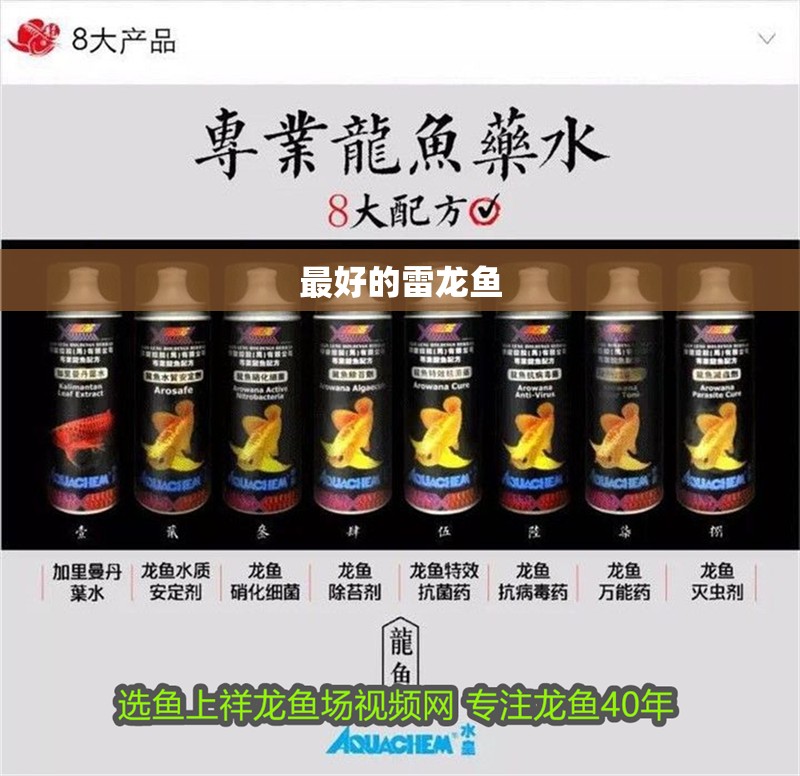 最好的雷龍魚