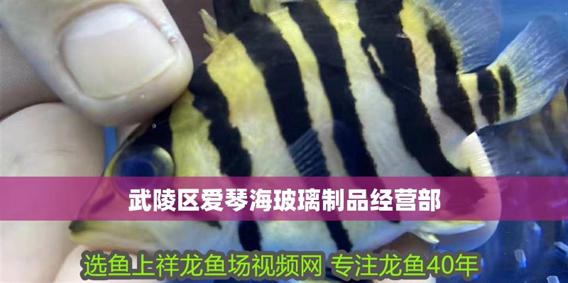 武陵區愛琴海玻璃制品經營部 武陵區愛琴海玻璃制品經營部 全國水族館企業名錄