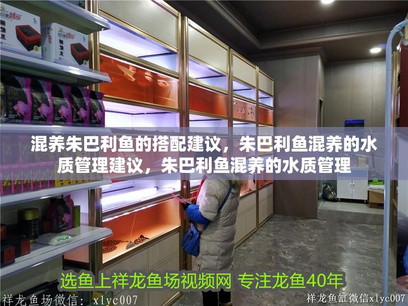 混養(yǎng)朱巴利魚的搭配建議，朱巴利魚混養(yǎng)的水質(zhì)管理建議，朱巴利魚混養(yǎng)的水質(zhì)管理