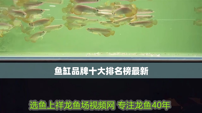 魚缸品牌十大排名榜最新