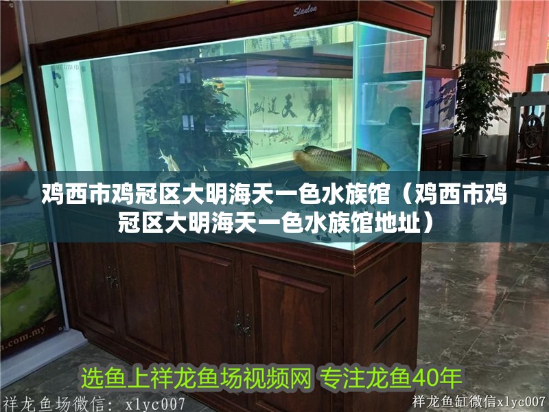 雞西市雞冠區(qū)大明海天一色水族館（雞西市雞冠區(qū)大明海天一色水族館地址） 雞西市雞冠區(qū)大明海天一色水族館（雞西市雞冠區(qū)大明海天一色水族館地址） 全國水族館企業(yè)名錄 第1張