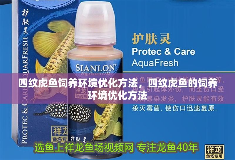 四紋虎魚飼養(yǎng)環(huán)境優(yōu)化方法，四紋虎魚的飼養(yǎng)環(huán)境優(yōu)化方法 四紋虎魚飼養(yǎng)環(huán)境優(yōu)化方法，四紋虎魚的飼養(yǎng)環(huán)境優(yōu)化方法 虎魚百科 第1張