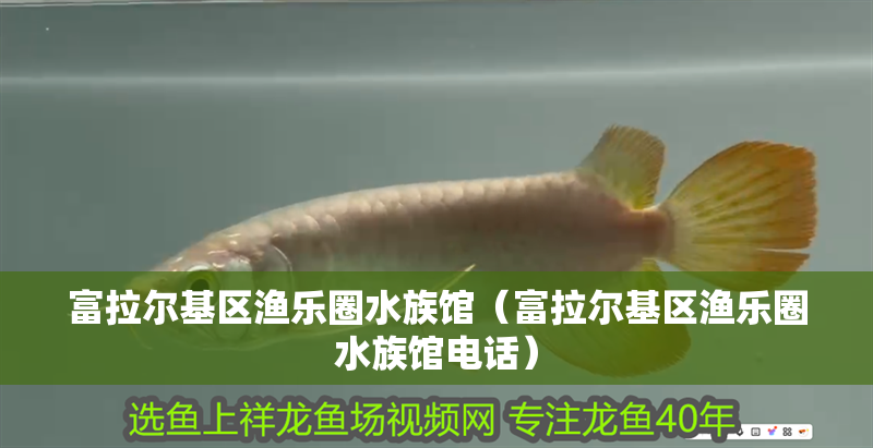 富拉爾基區漁樂圈水族館（富拉爾基區漁樂圈水族館電話）