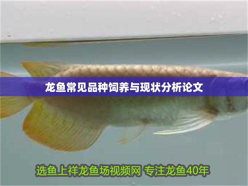 龍魚(yú)常見(jiàn)品種飼養(yǎng)與現(xiàn)狀分析論文