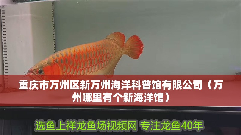 重慶市萬州區新萬州海洋科普館有限公司（萬州哪里有個新海洋館）